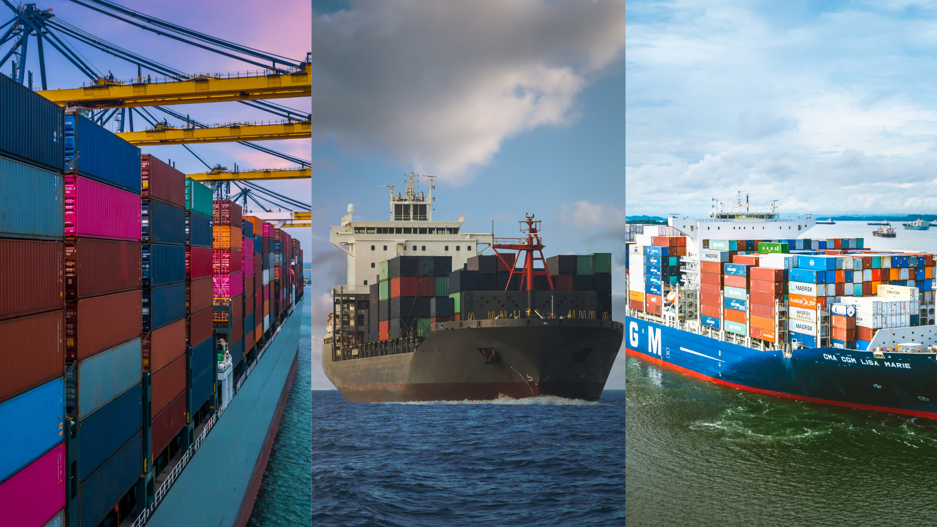 Freight vs Transportation vs Cargo
