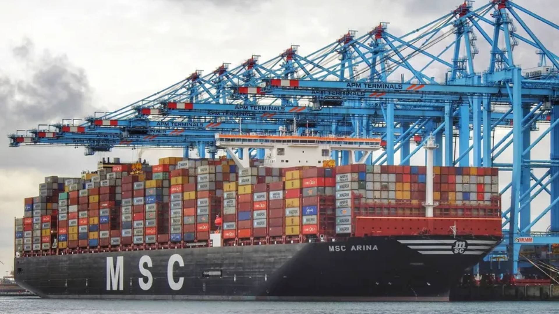MSC Arina