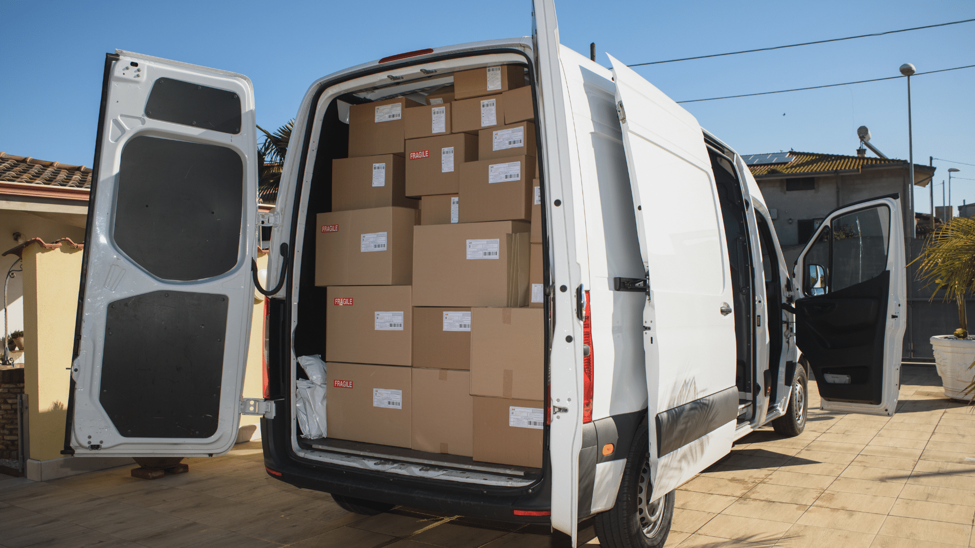 Economy vs Standard Shipping