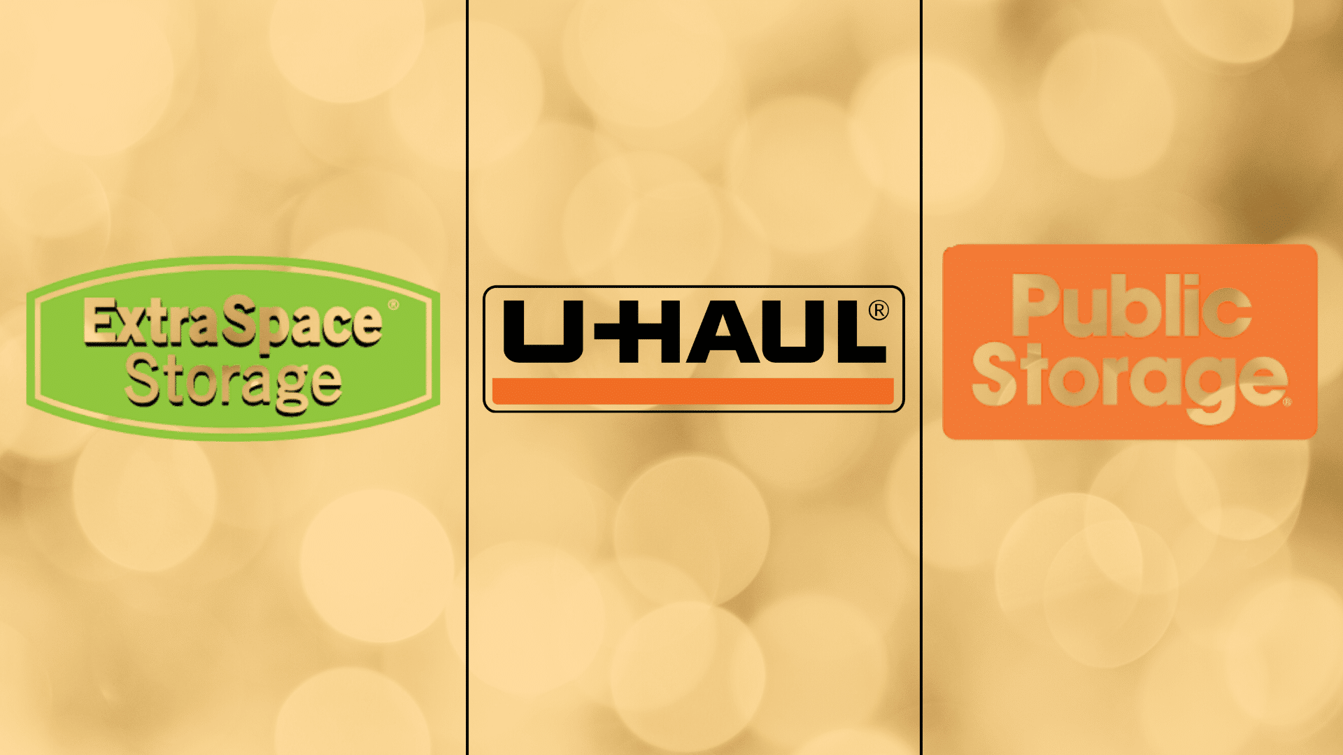 best climate controlled storage companies