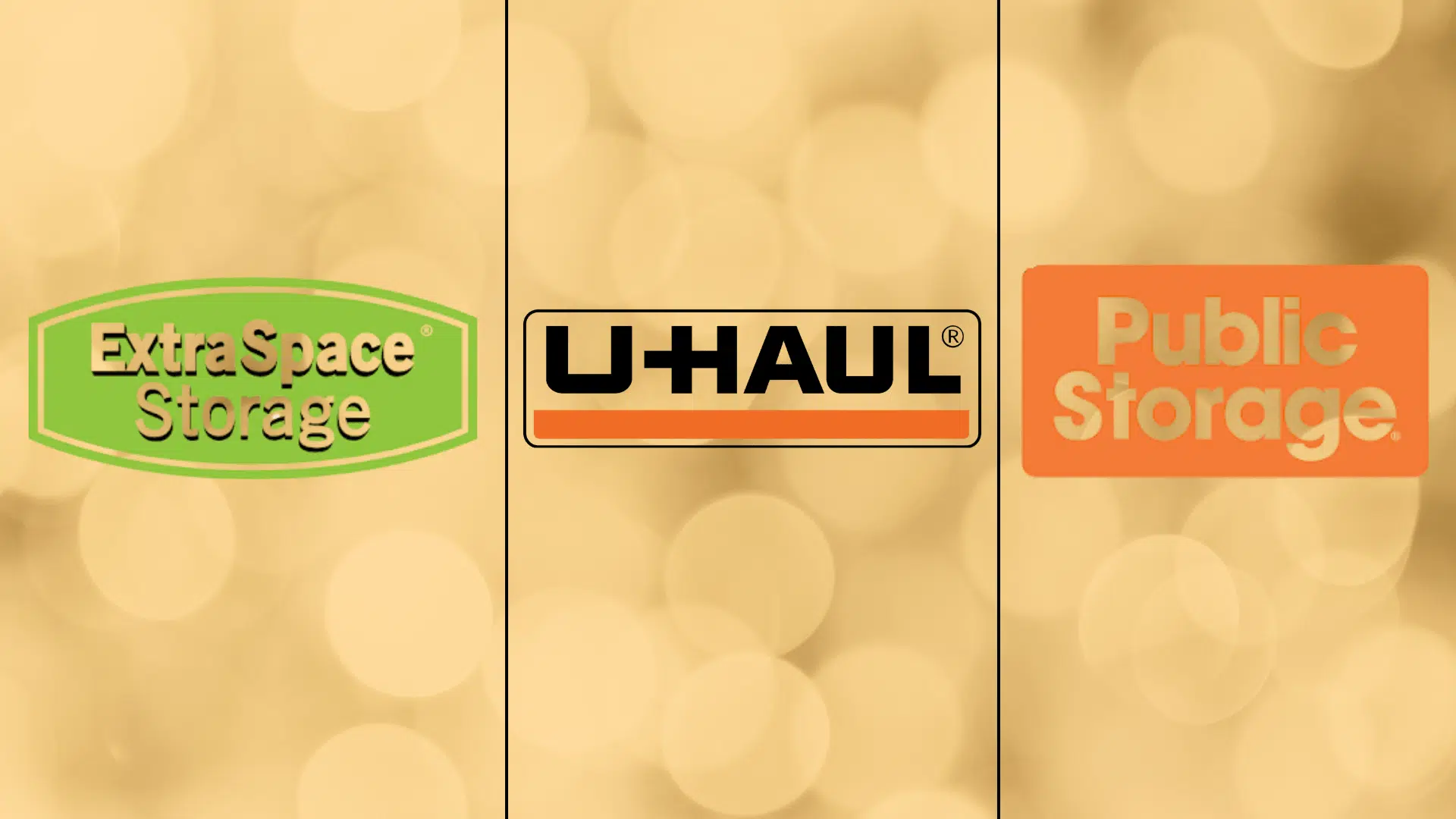 best climate controlled storage companies