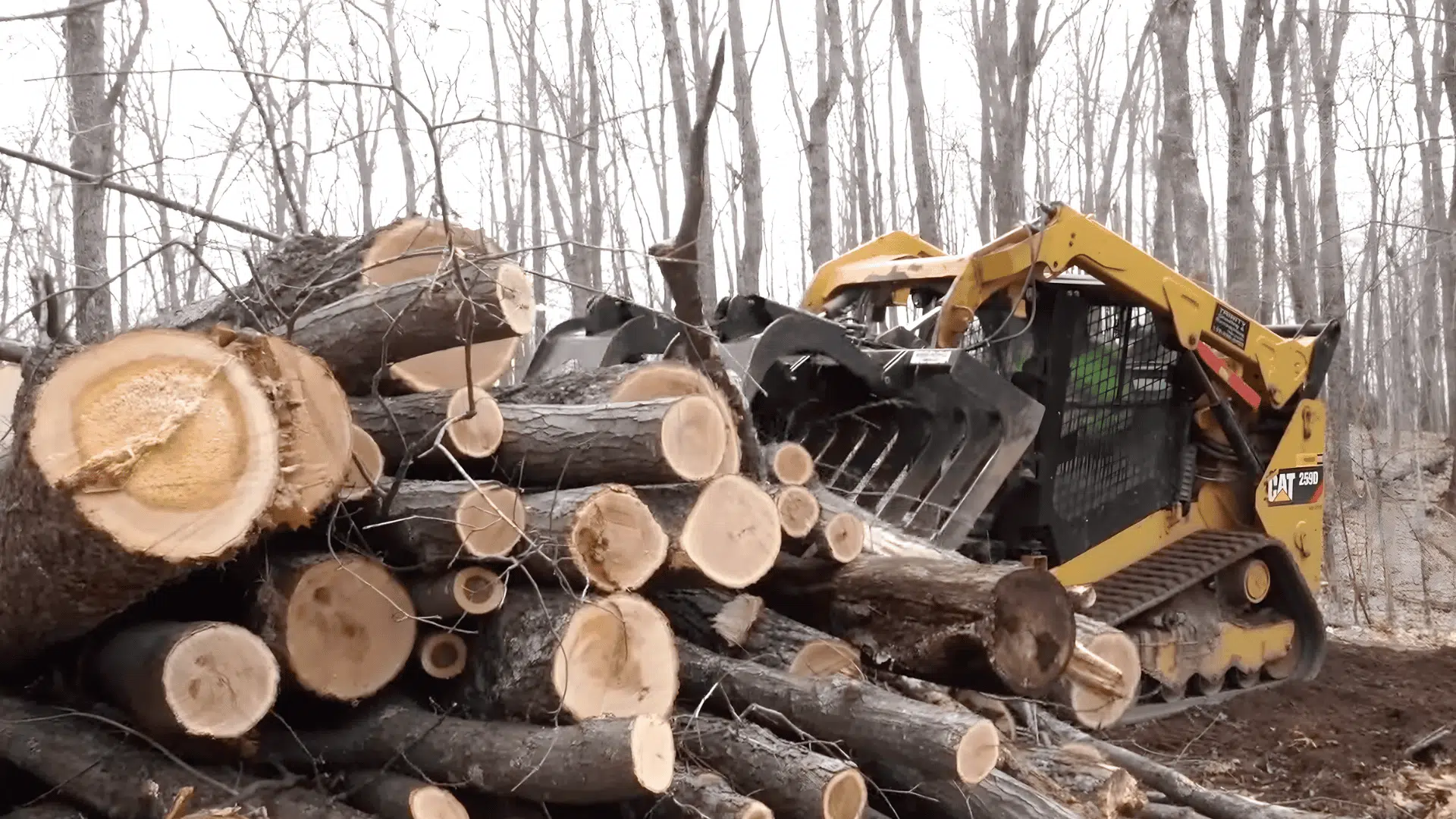 clear and prepare the land