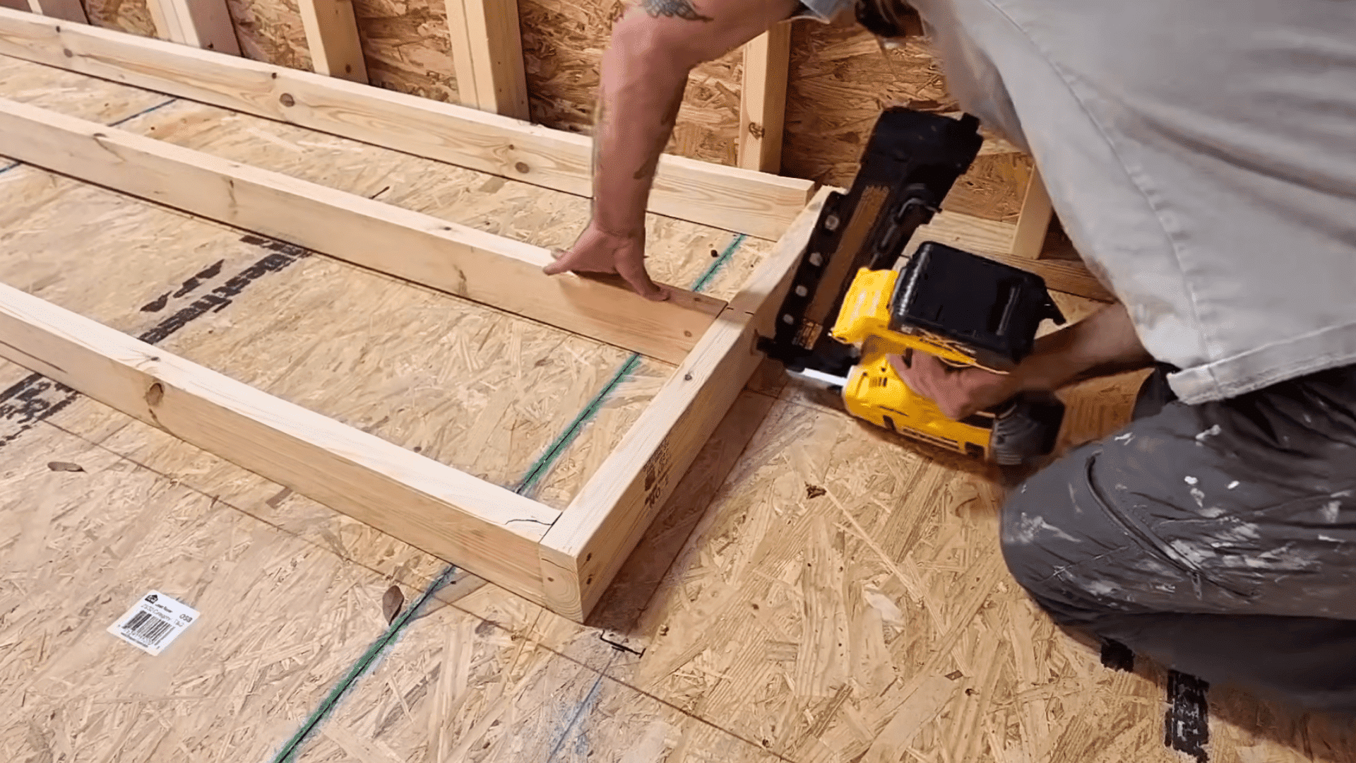 frame the interior walls