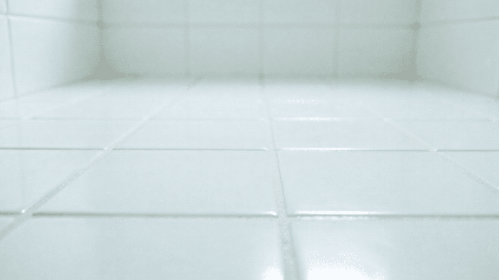 refresh grout and caulk lines
