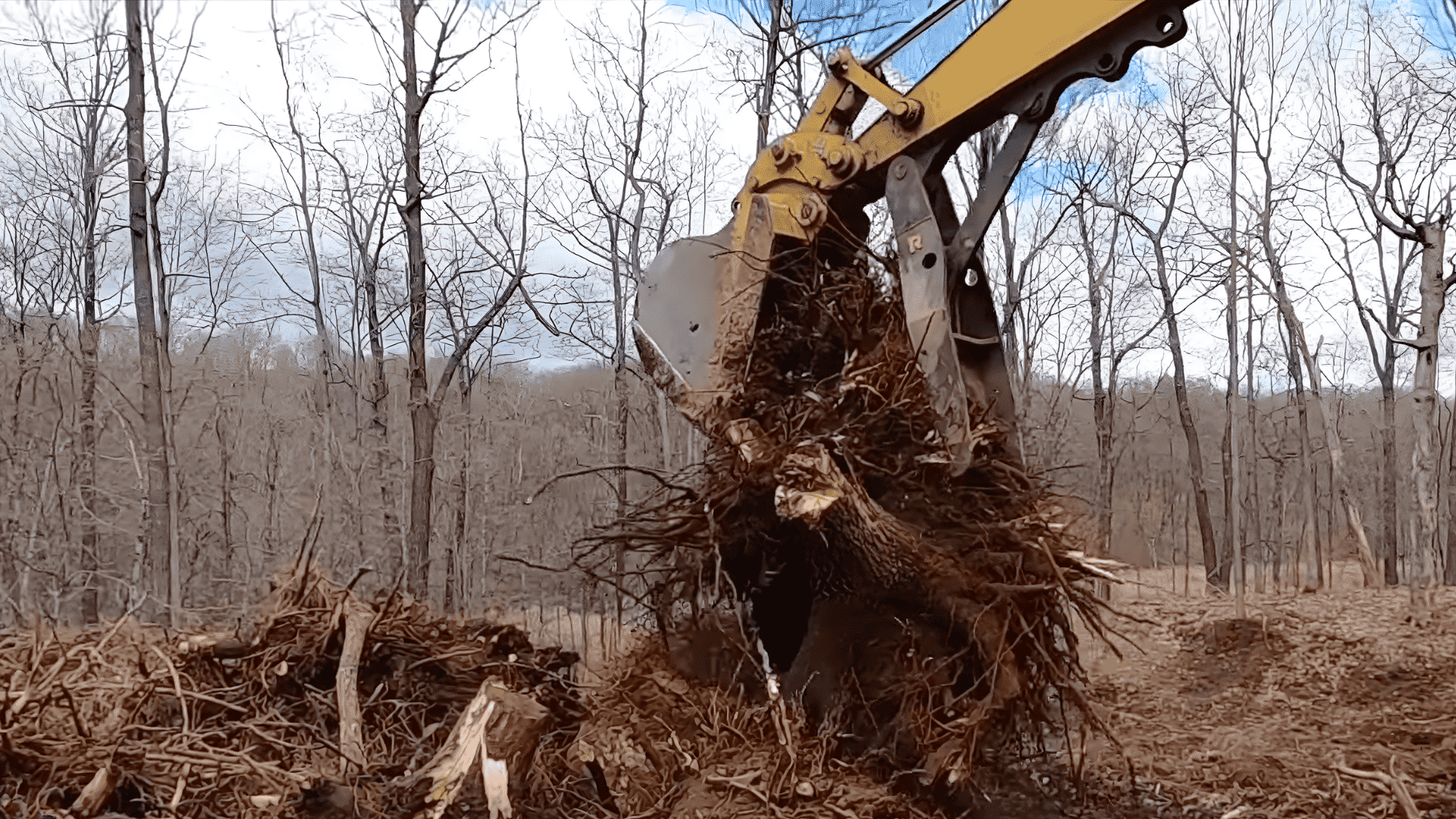 remove stumps roots and save landscaping materials