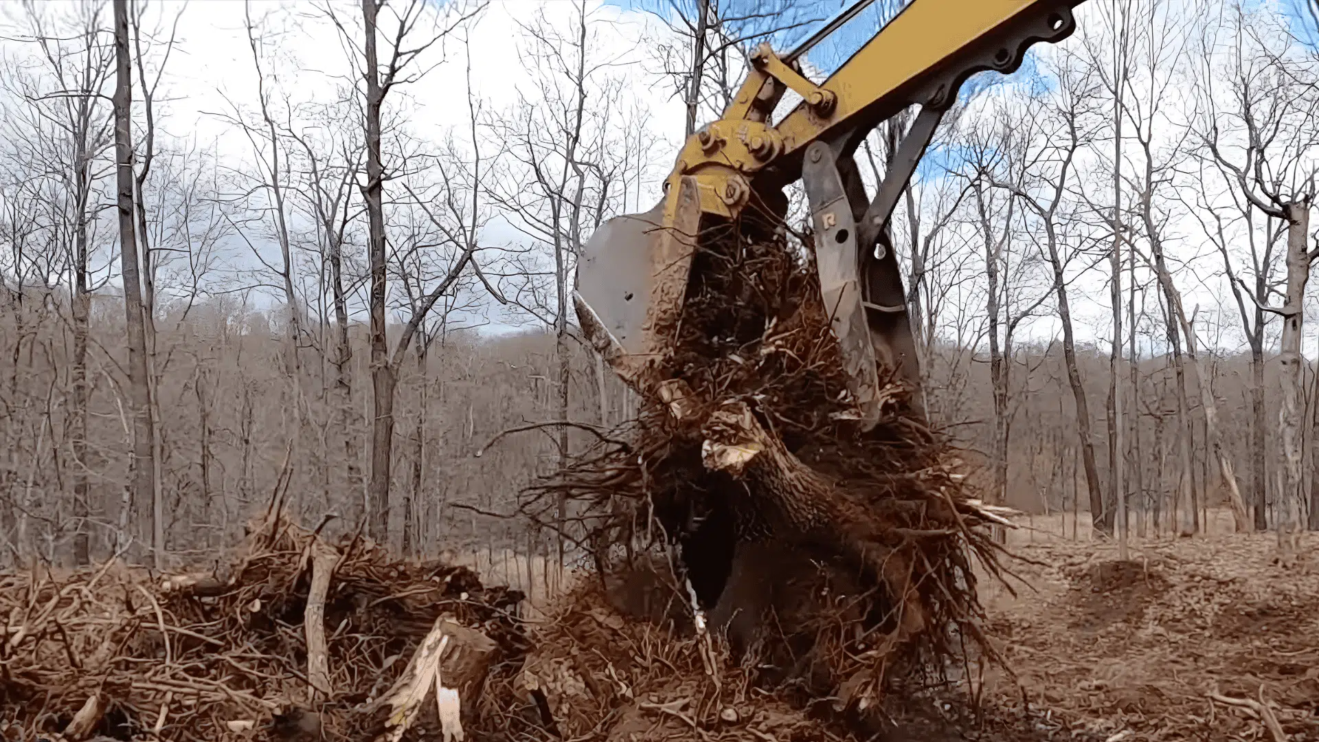 remove stumps roots and save landscaping materials