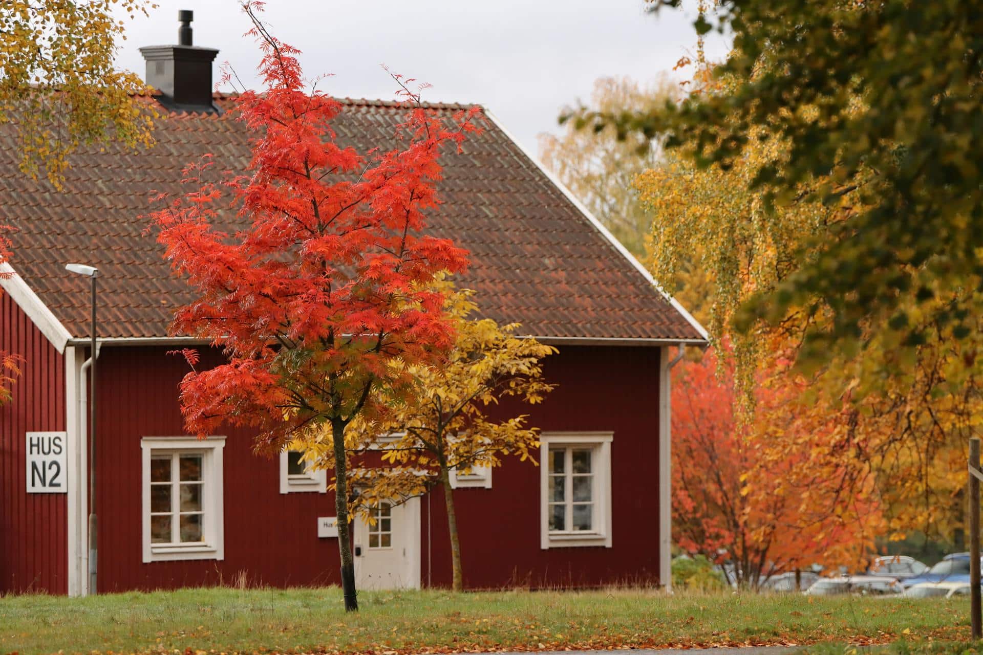 Easy Enhancements That Breathe New Life into Older Homes