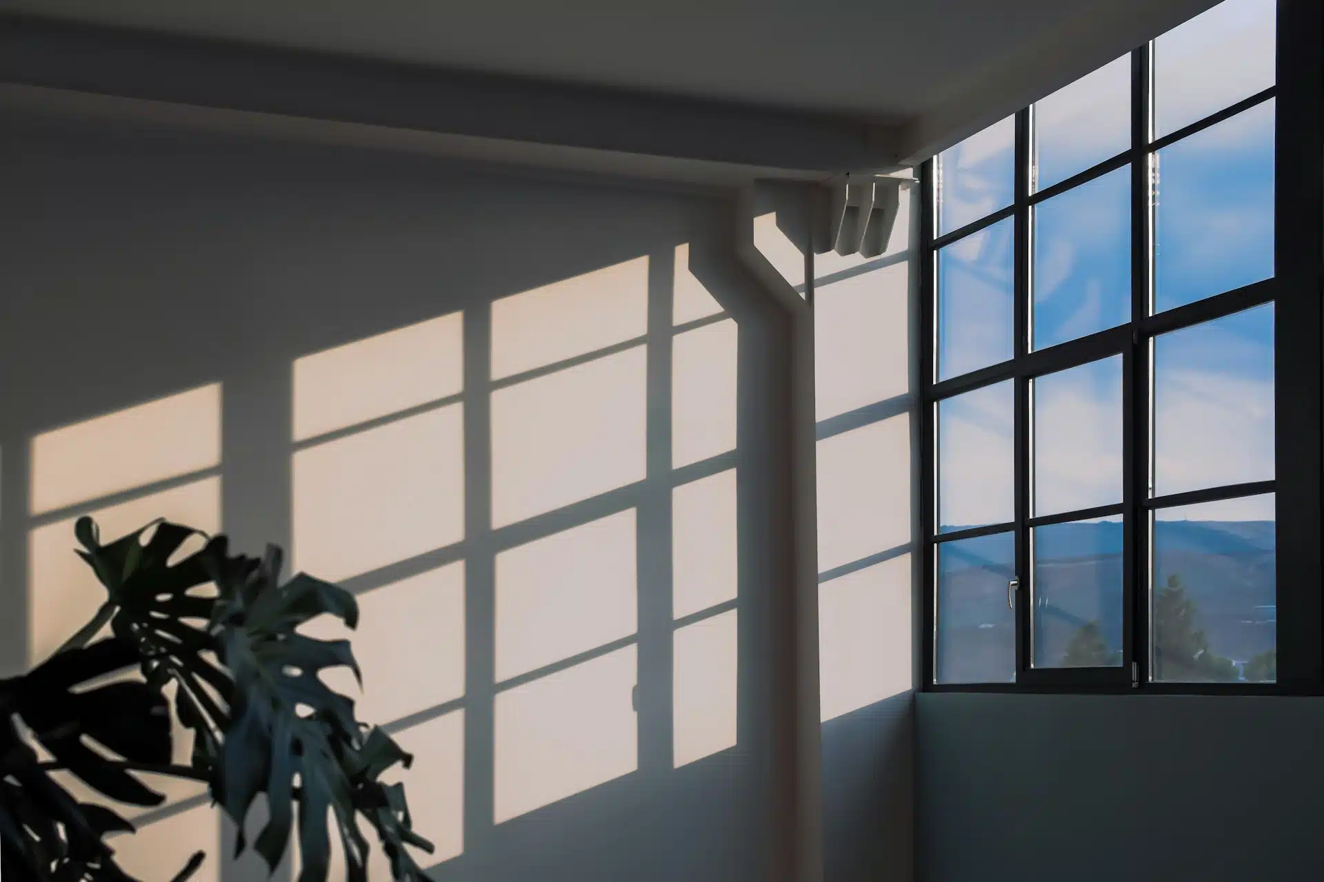 The Complete Guide to Impact Window Installation in Wellington