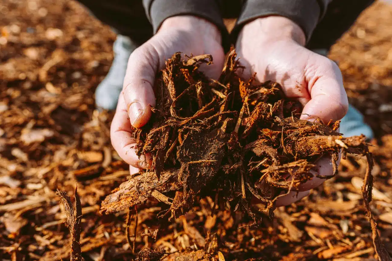 Mulch Delivery Services