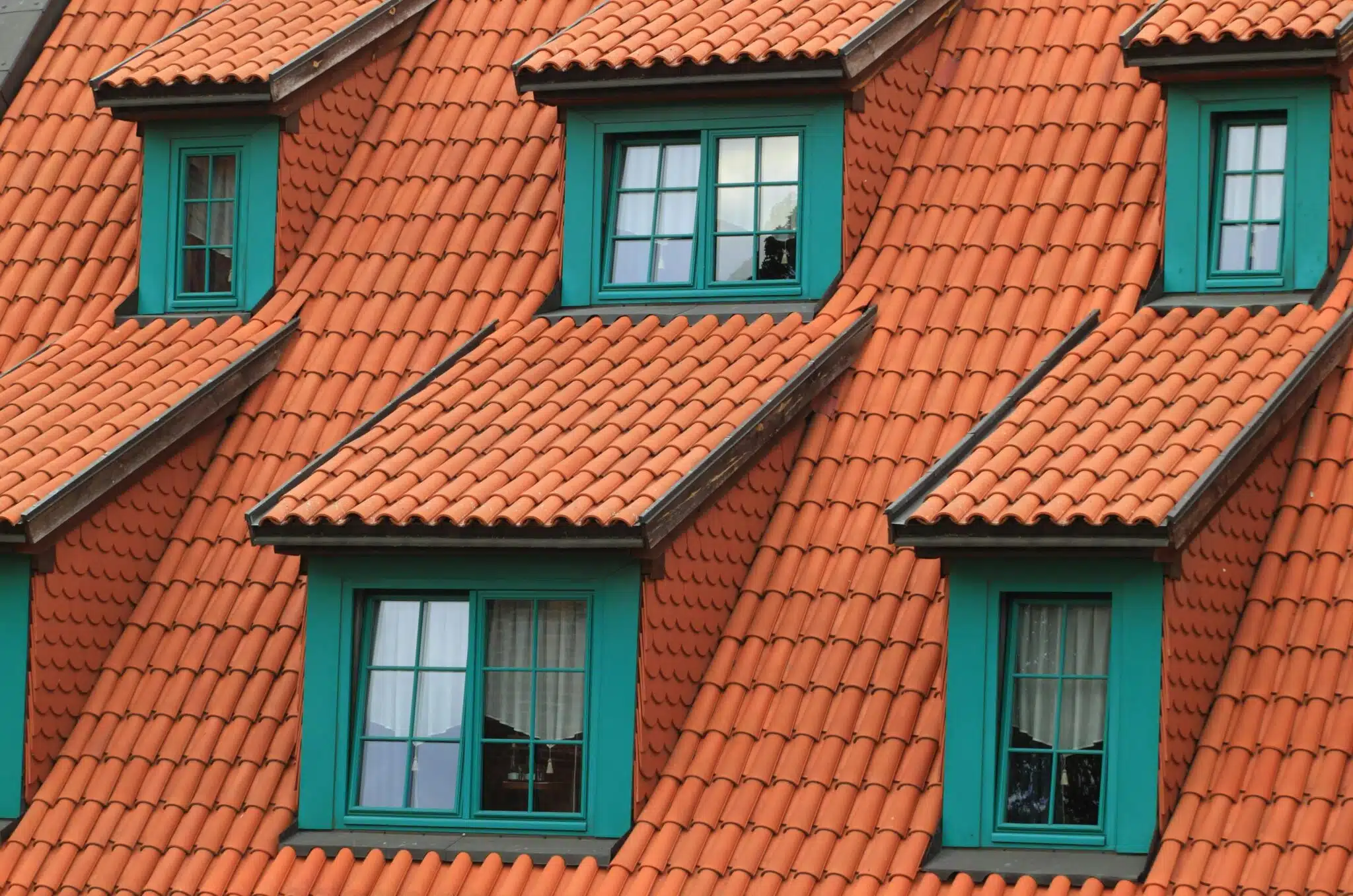 Your Action Plan After a Winter Garden Storm Damages Your Roof