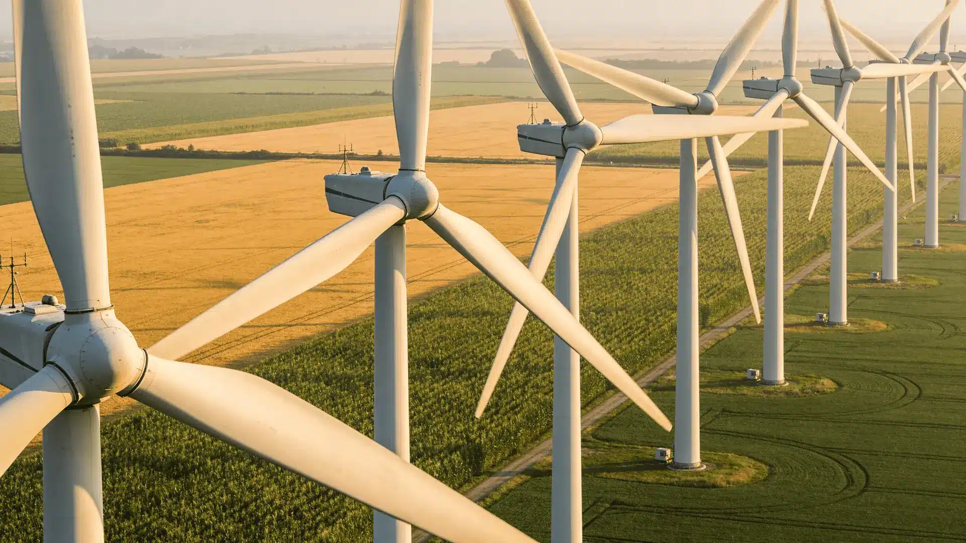Wind turbines installed in a farmland field with crops growing between them