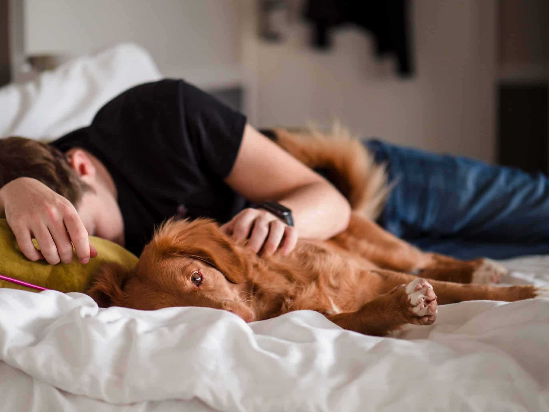 A man sleeping with a dog