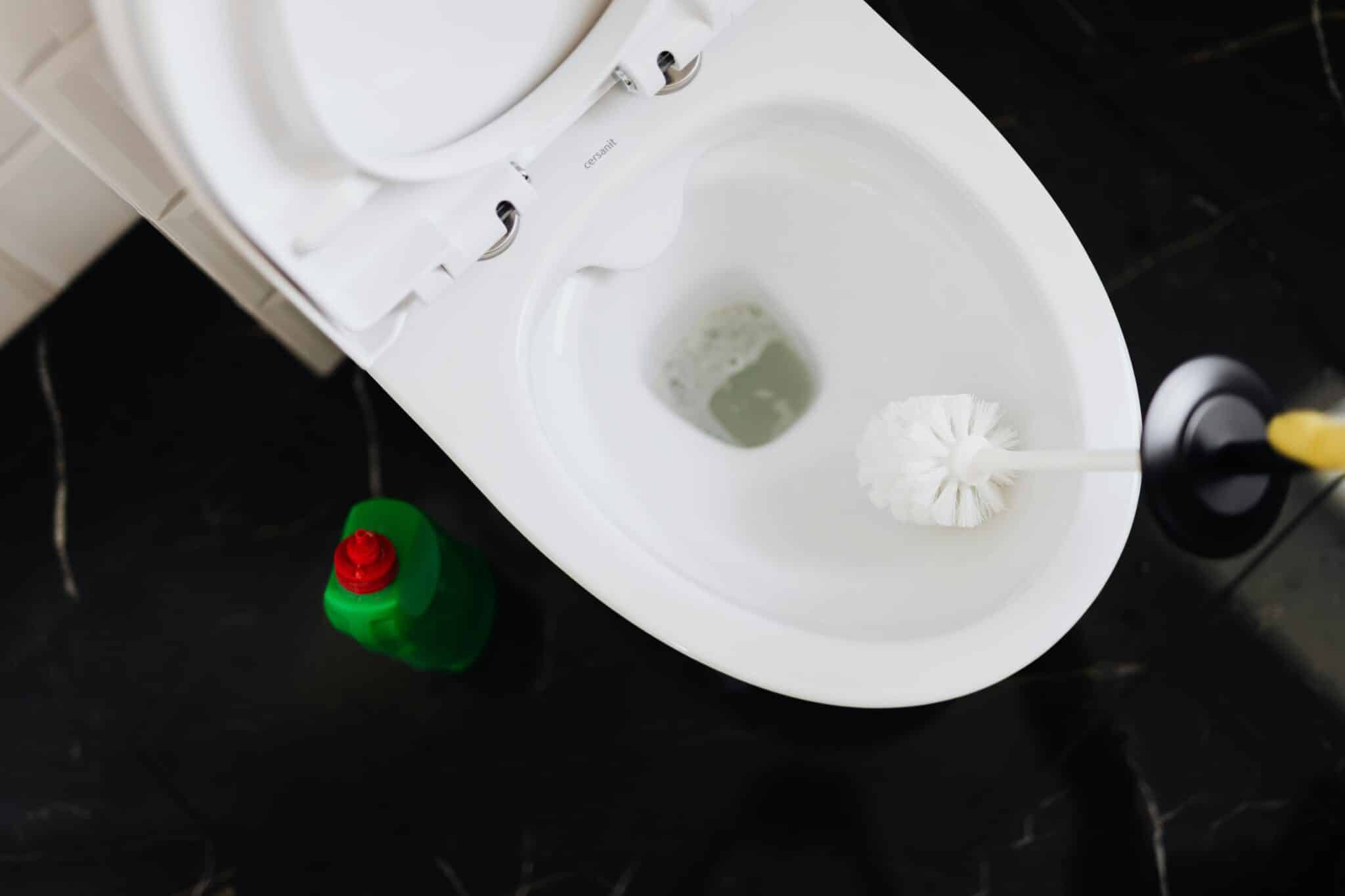 Top Causes of Clogged Toilets and How to Solve Them