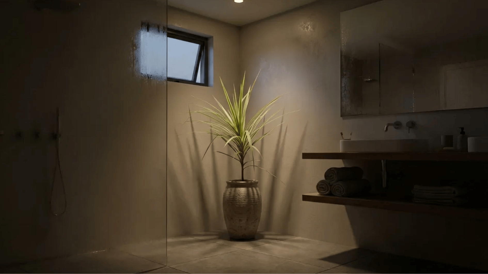 dracaena marginata in tall decorative pot near bathroom shower, narrow spiky leaves adding height to modern space