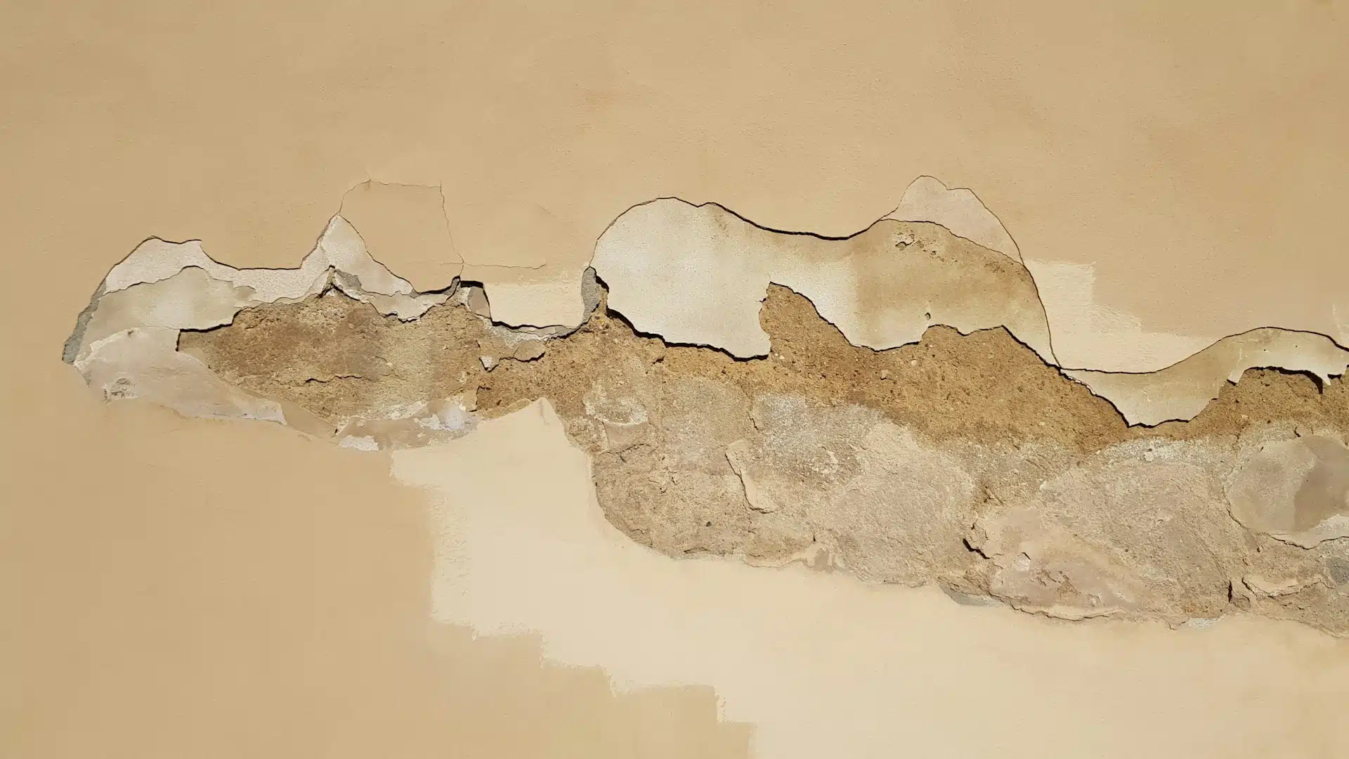 Mold