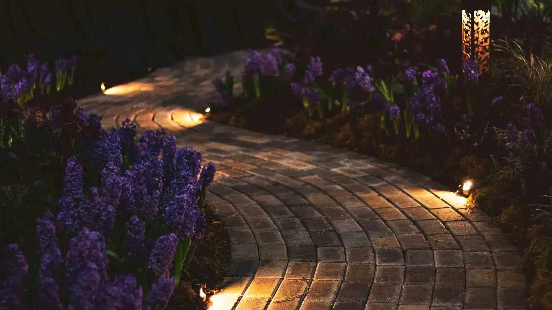 Winding brick pathway illuminated by warm lights bordered by purple flowers at night