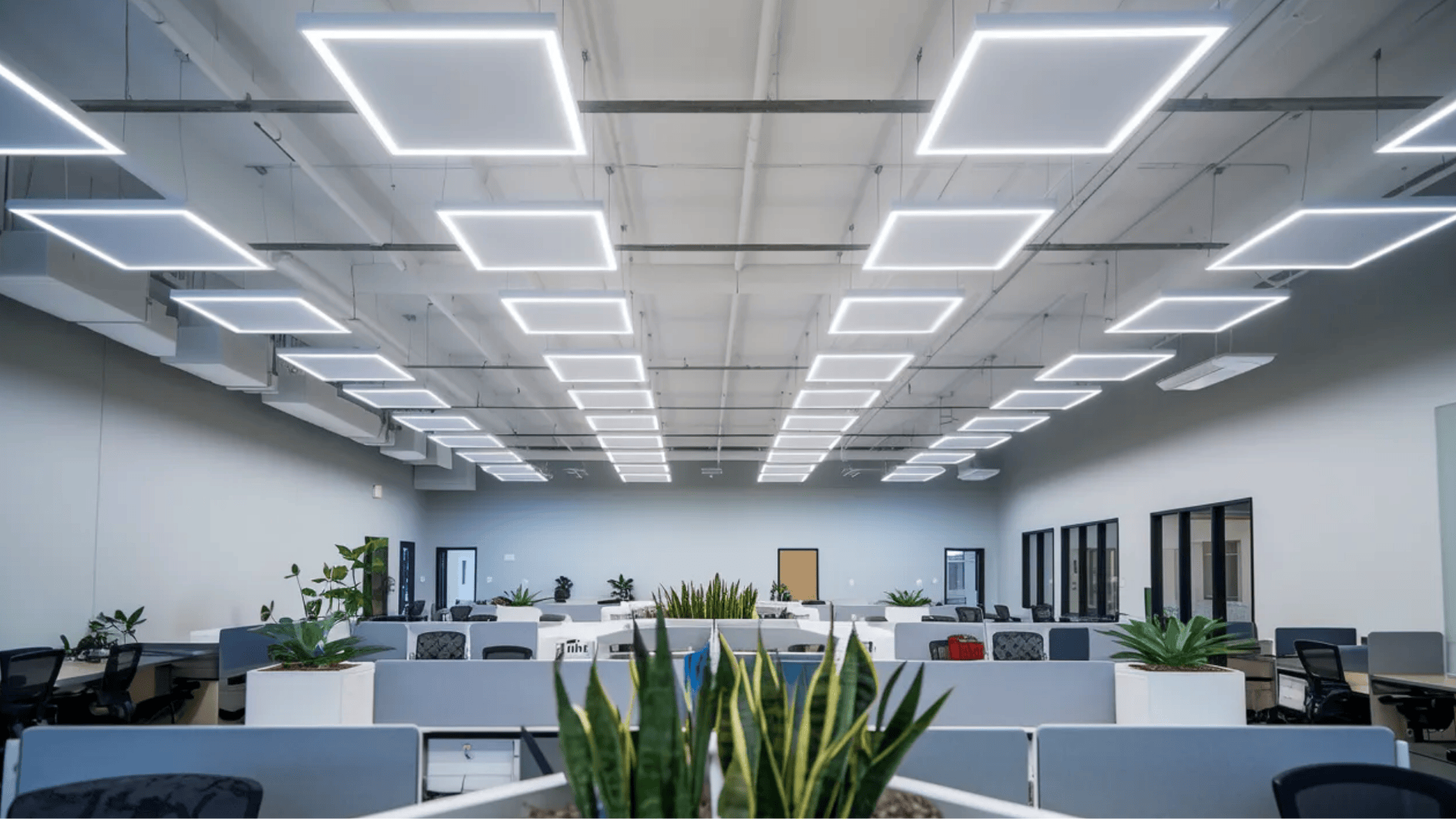 modern open office with cubicles, indoor plants, and geometric led ceiling lights in a spacious workspace