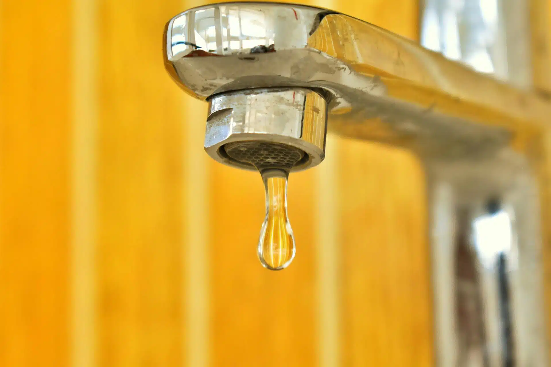 Plumbing Problems? Here's Why You Should Always Go With a Pro
