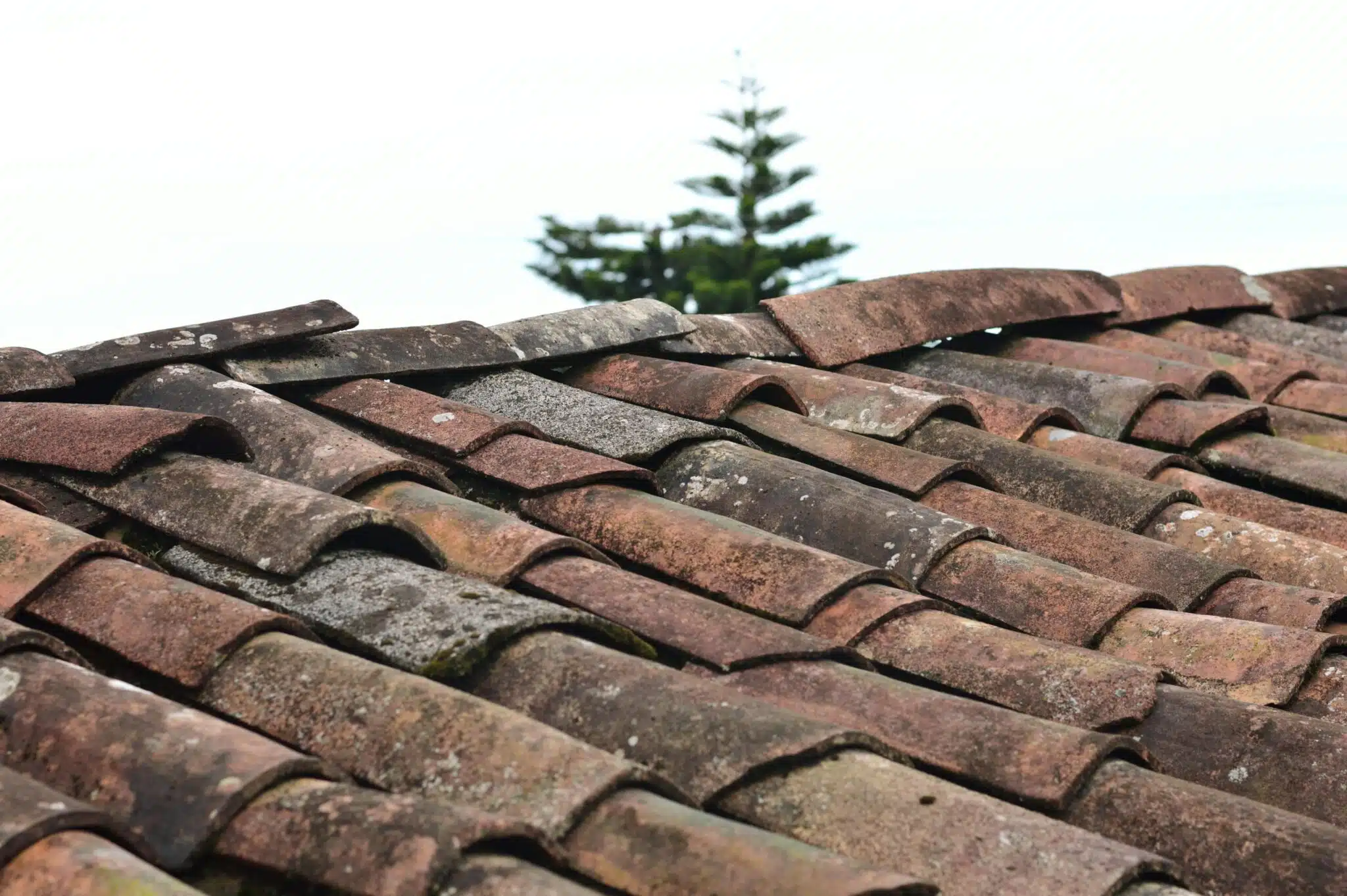 Roof Issues