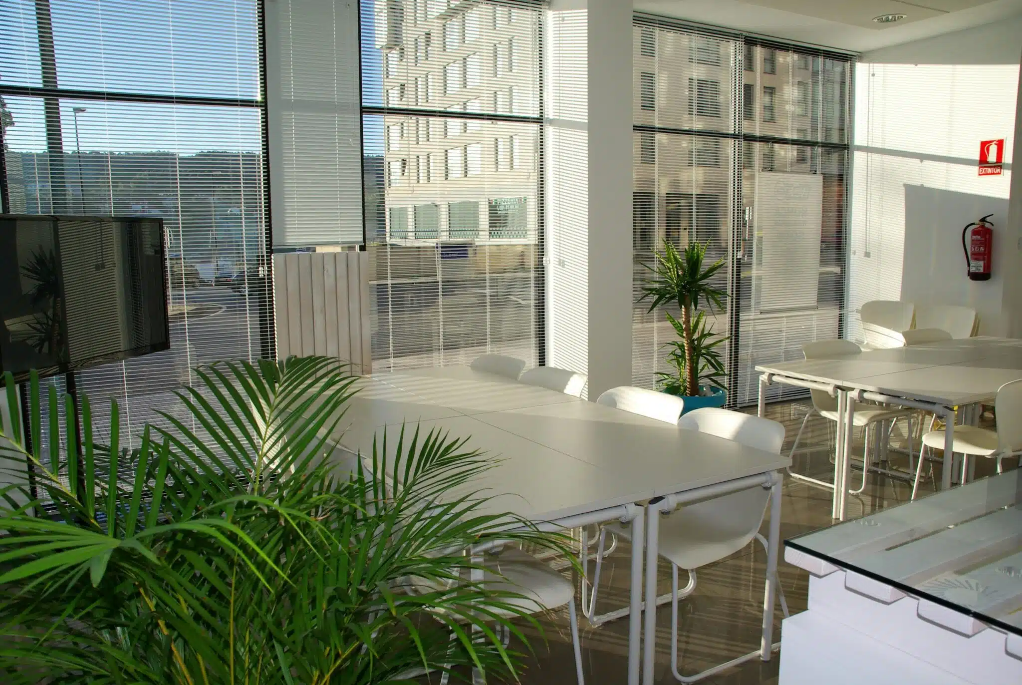 Healthier and Greener Workspaces