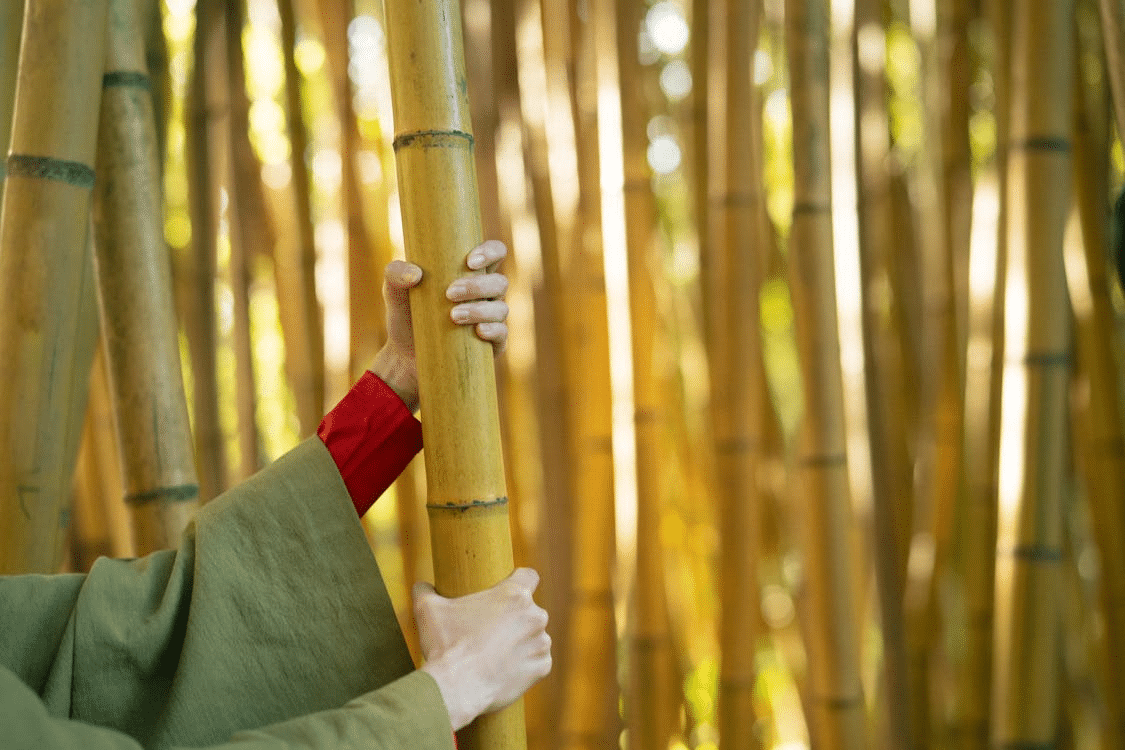 Eco-Friendly Flooring