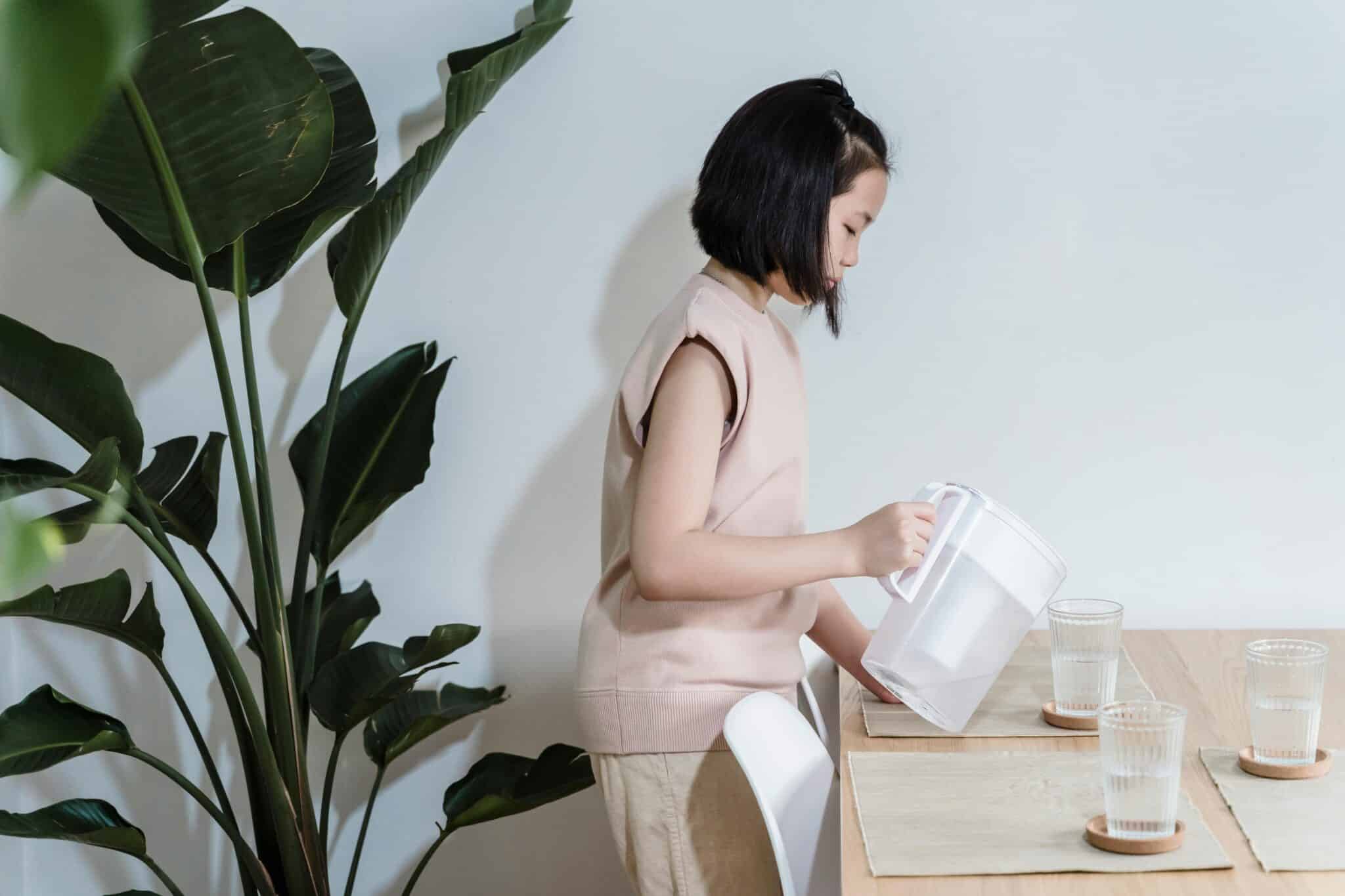 Choosing the Right HydroTAC System for Your Home