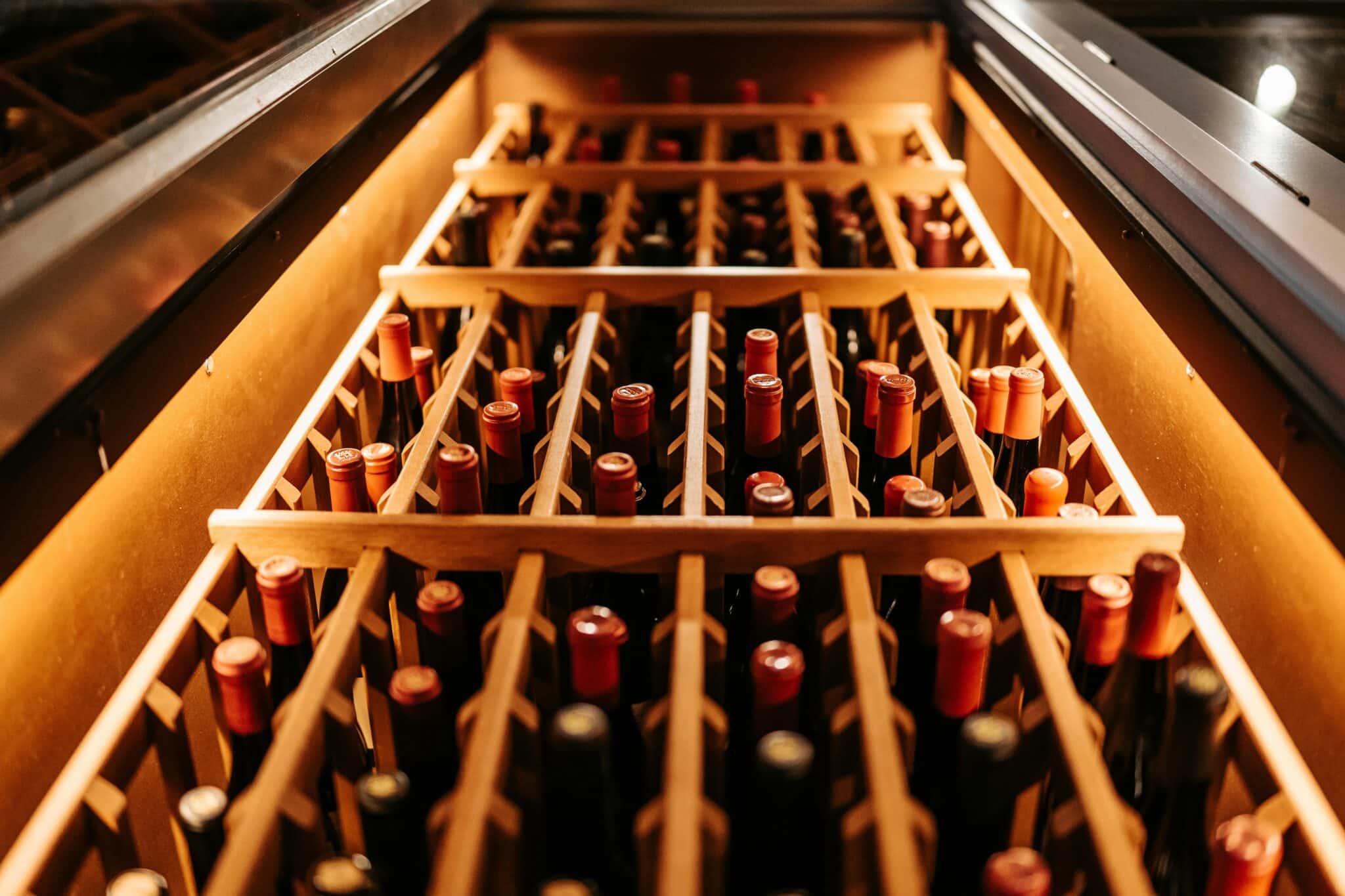 Why Wine Enthusiasts Prefer Dedicated Wine Fridges