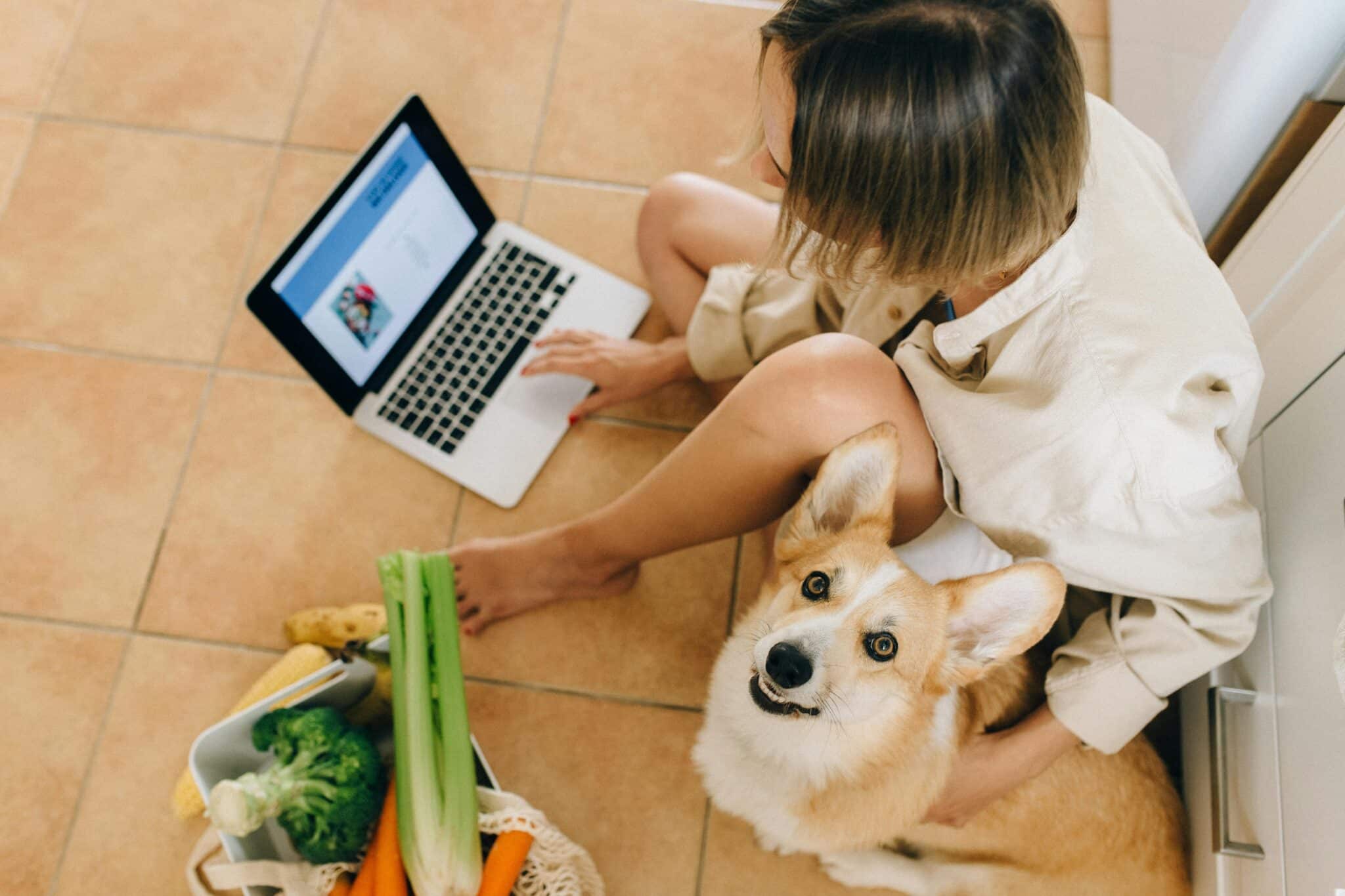 Digital Innovation Across Consumer Services and Pet Care