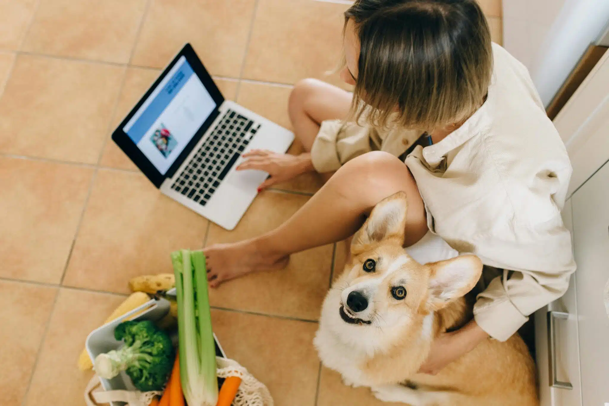 Digital Innovation Across Consumer Services and Pet Care