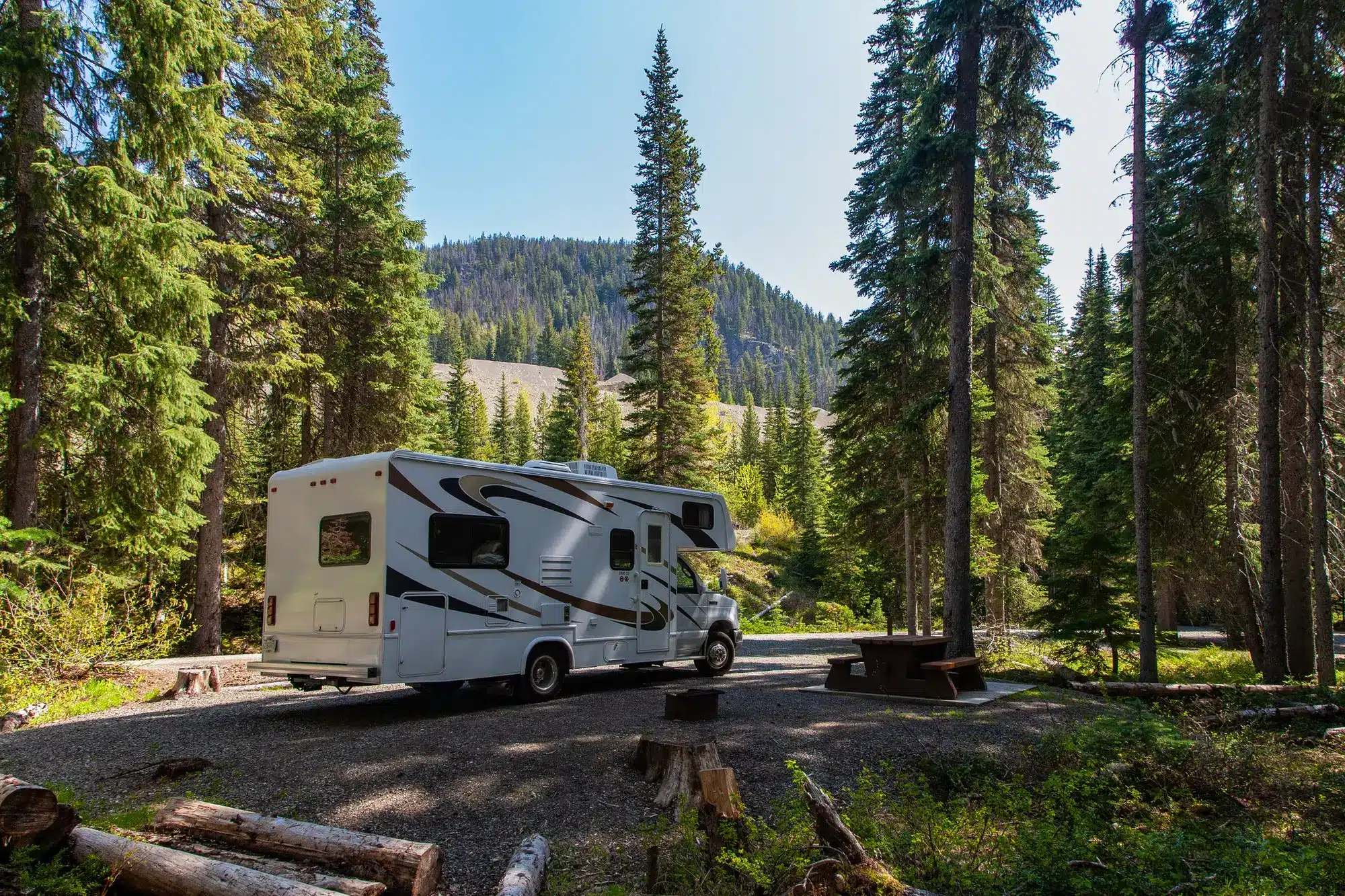 Camper van parked in a forested campsite with tall trees and a picnic table