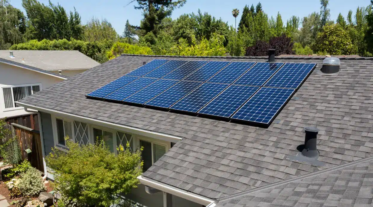 Solar panels installed on residential rooftop surrounded by greenery in bright daylight