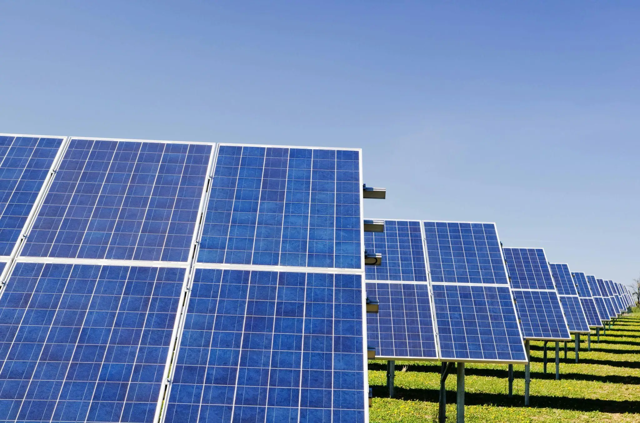 Rows of solar panels on grassy field under clear blue sky