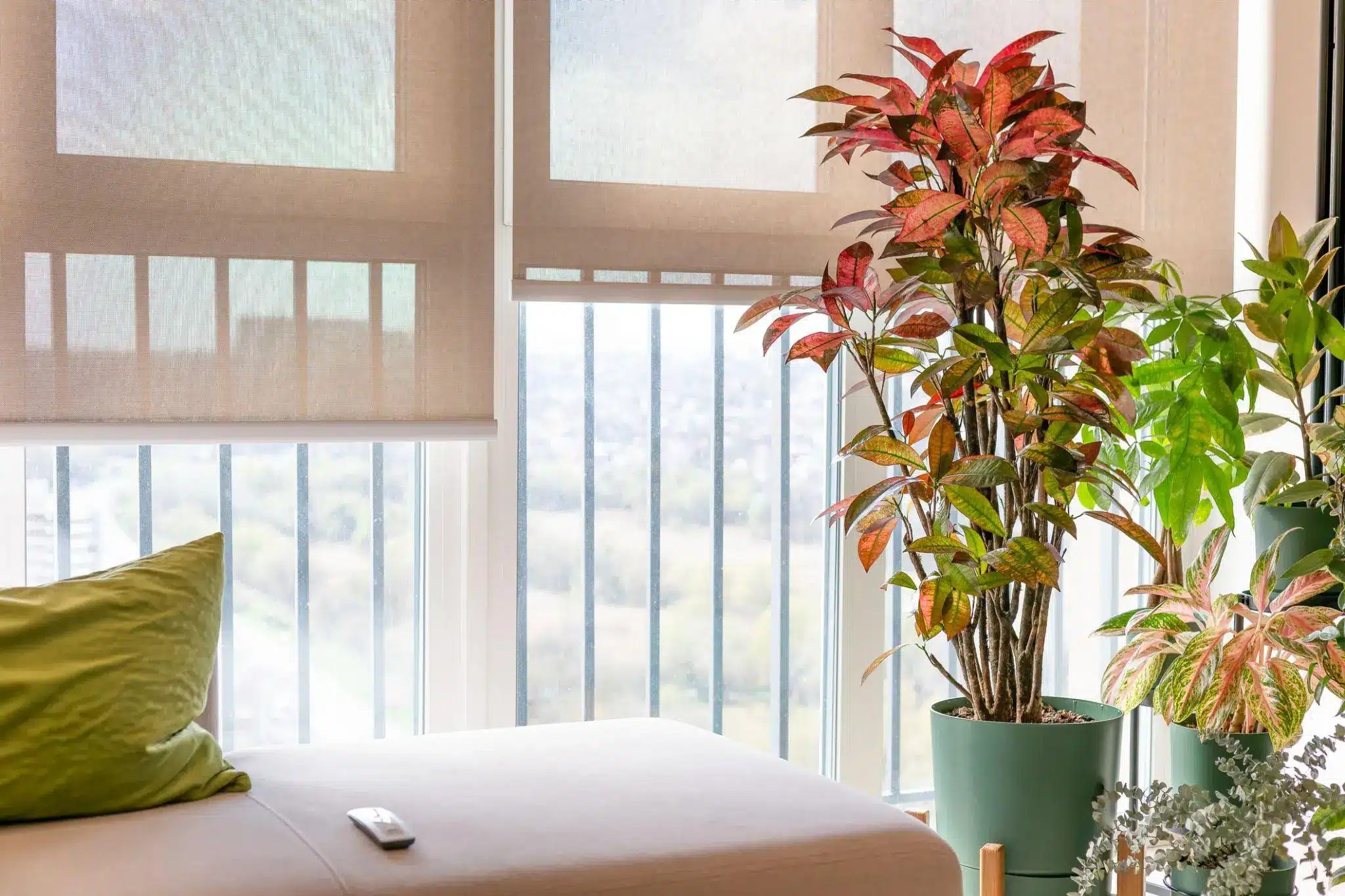 Potted plants by large window with beige shades in a bright, cozy room