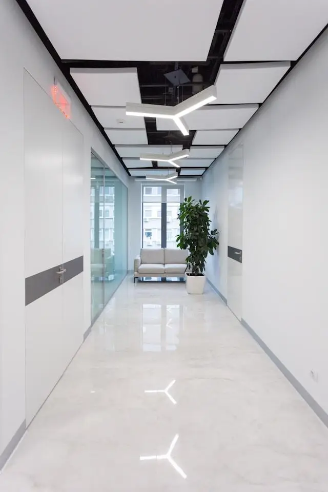 Modern office hallway with white walls, geometric ceiling lights, and potted plant by the window