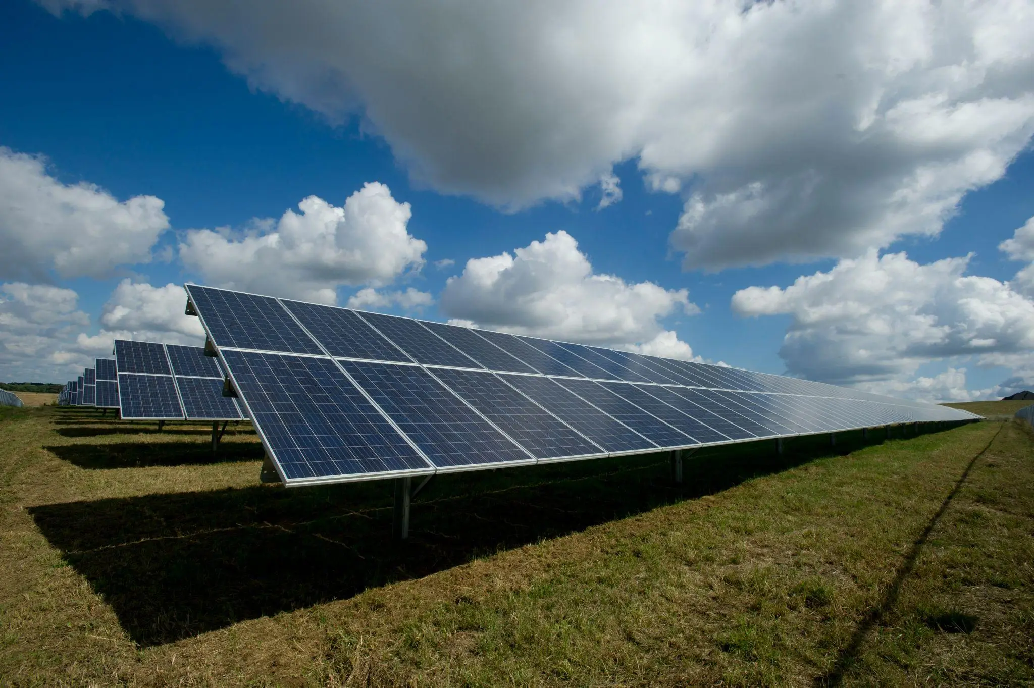 Rows of solar panels in a grassy field under a blue sky with clouds