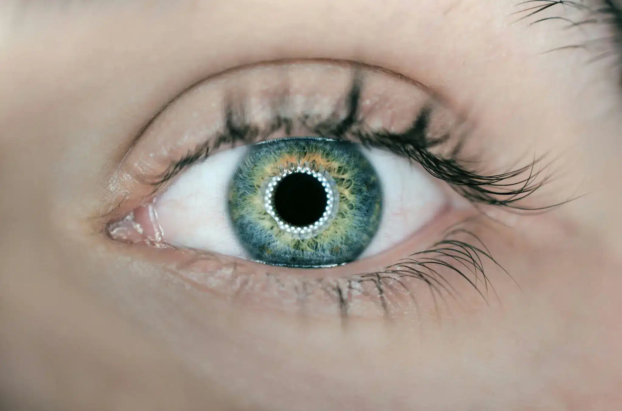 Close-up of a human eye with blue-green iris and detailed eyelashes