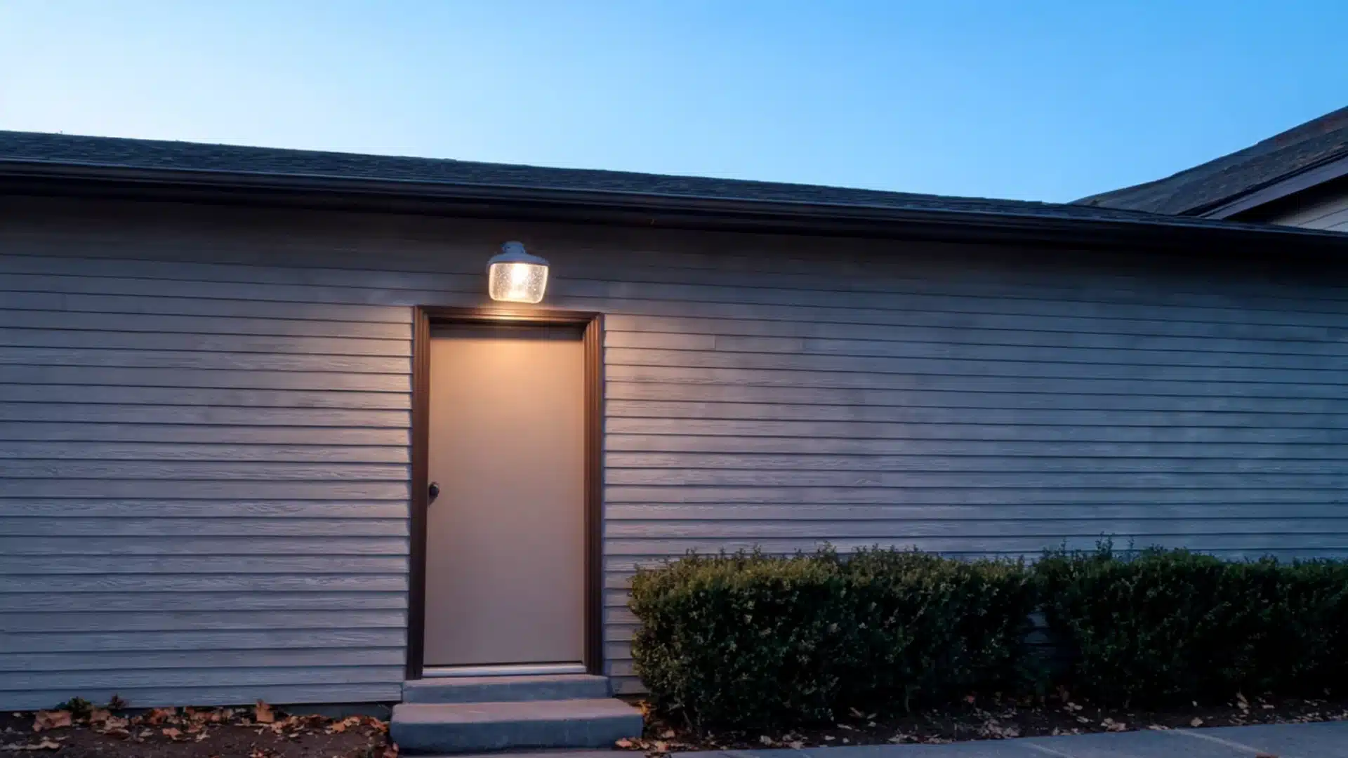 An exterior back door of a house with light grey siding, lit by an overhead outdoor porch light during twilight with a row of low green bushes along the base