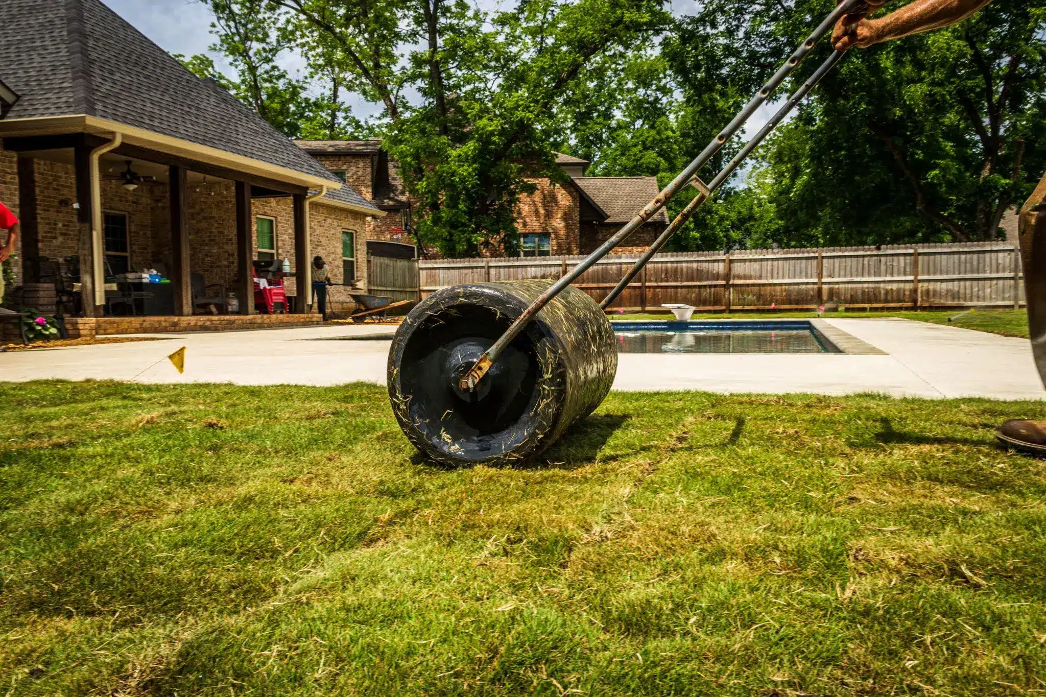 Gardener using lawn roller on freshly laid grass in backyard near swimming pool