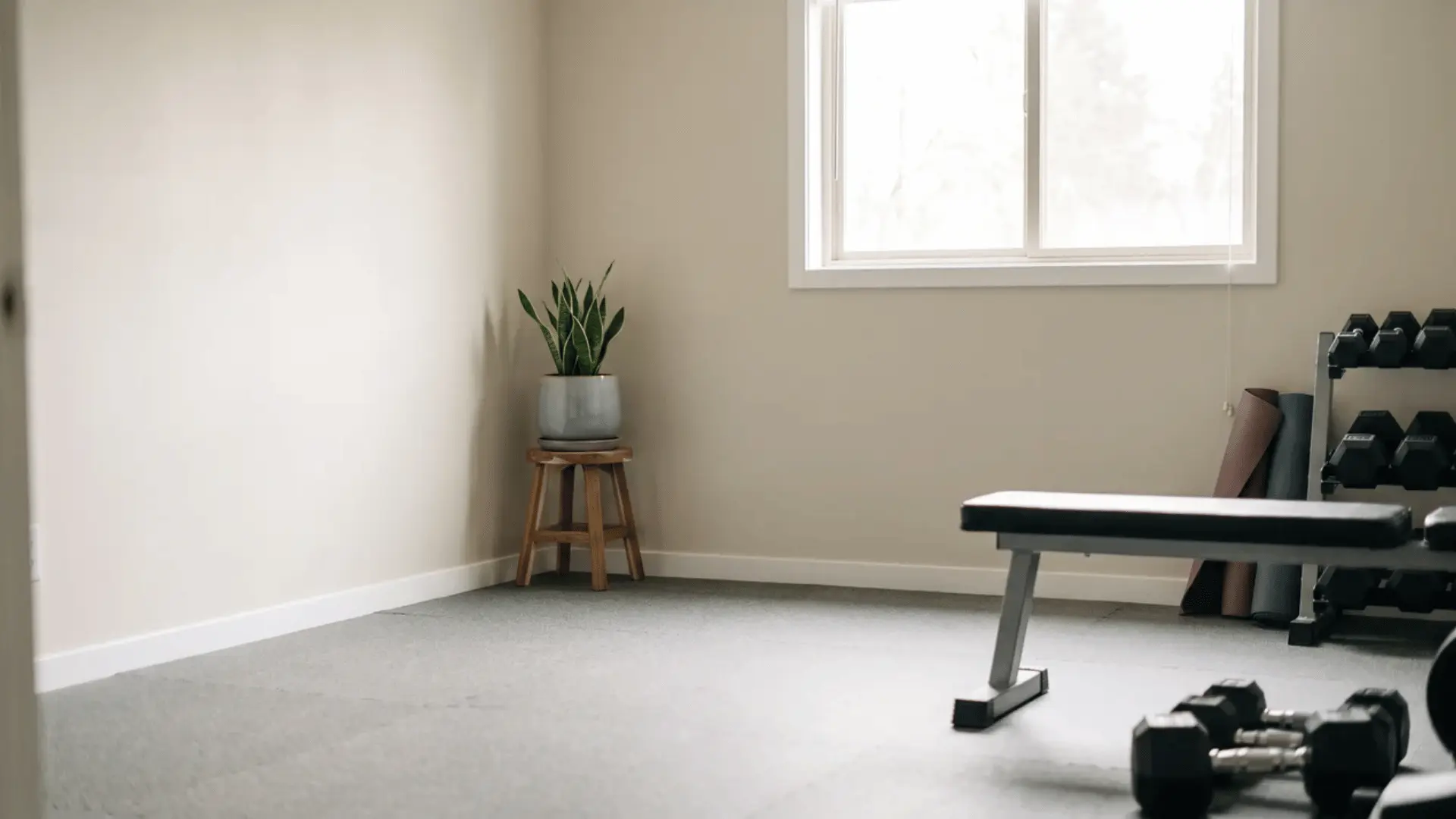 Small plant placed in the corner of a home gym room