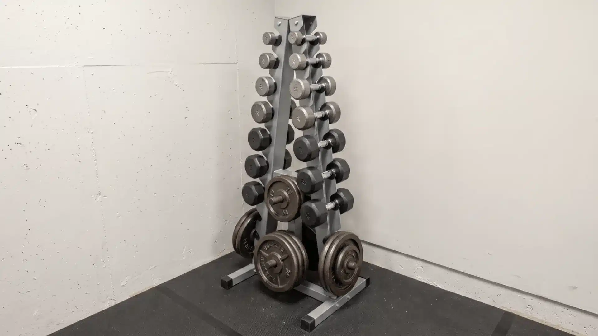 Tree-style weight rack holding free weights in gym corner