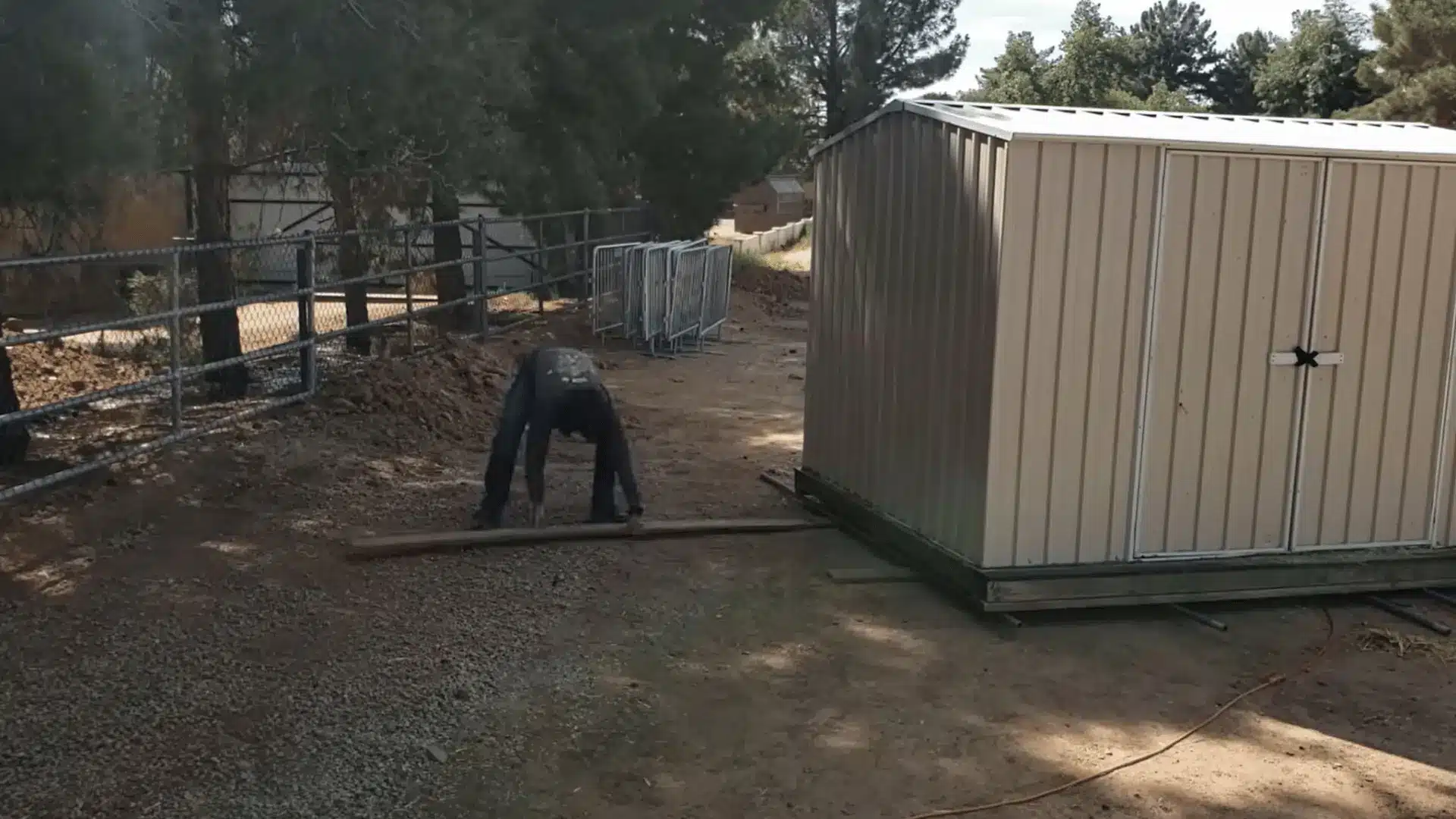 Wood plank being repositioned in front of a shed on rollers to guide it through a turn.