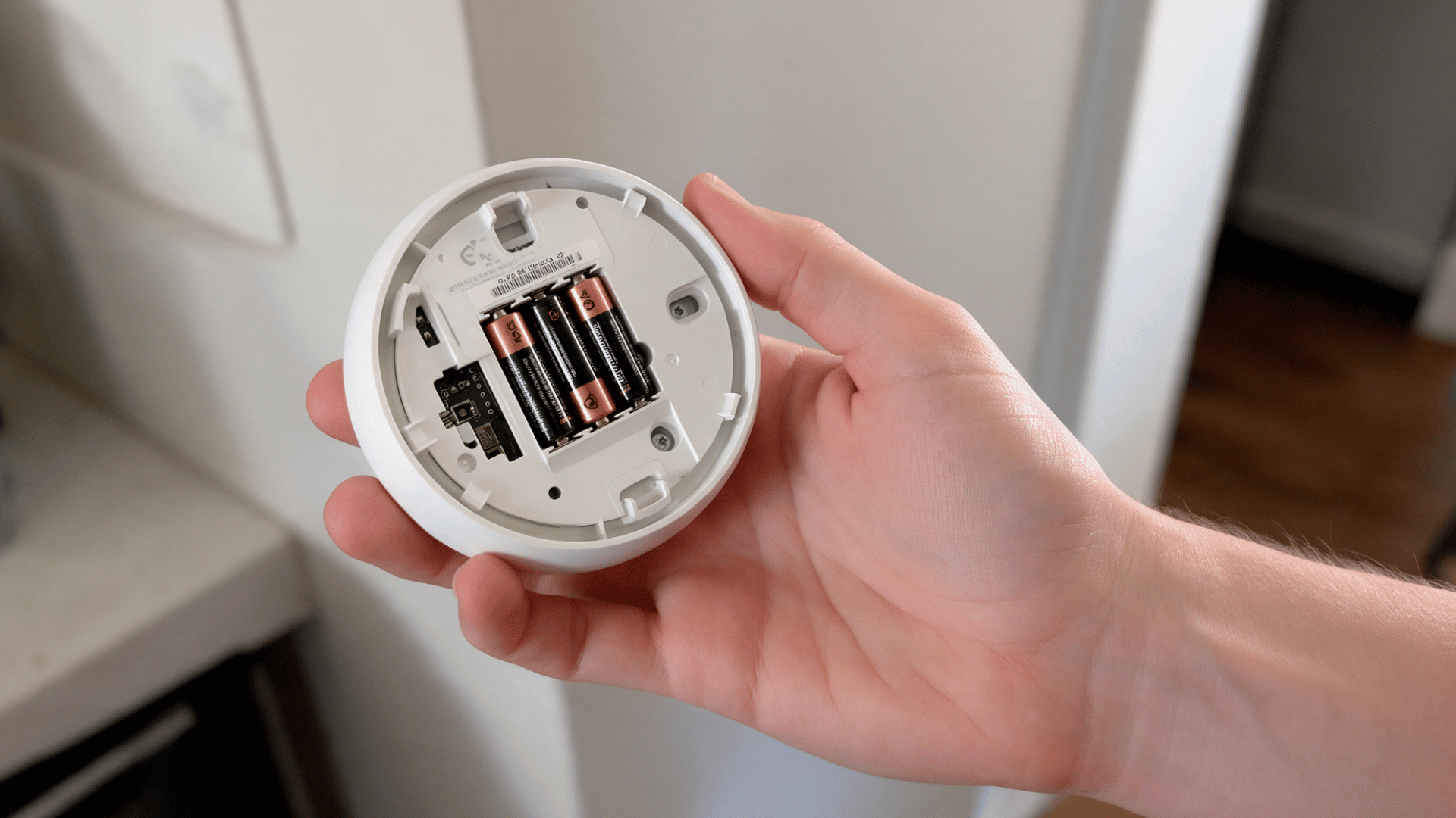 hand holding an open thermostat back panel showing AAA batteries inside