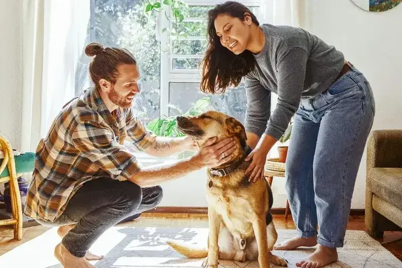 Man and woman petting dog in sunlit living room with plants and wooden furniture